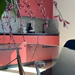 Le Colline House サン・ミニアート